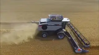 Harvesting Wheat with an S77 Gleaner