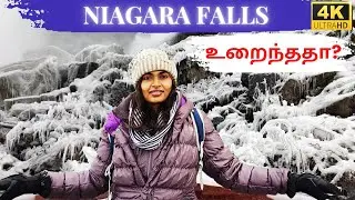 Niagara Falls frozen? See for yourself Niagara in Winter Travel vlog தமிழ் in 4K.