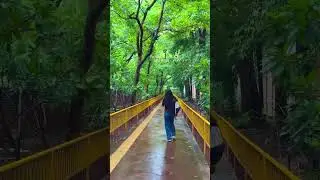 Delhi University Arts Faculty Vibes | Delhi University Campus | #delhiuniversity #campusnews