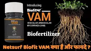 Netsurf Biofit VAM Biofertilizer Can BOOST Your Crop Yields | Netsurf Biofit VAM क्या है और फायदे ?