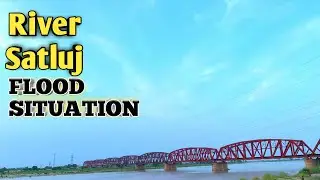 Massive Flood in River Sutlej Pakistan 2025 | Shocking Water Level Rise