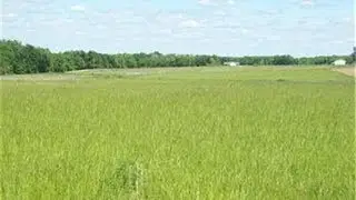 10 acres Key Rd, Jonesburg, MO 63351 | Tammie Johnson | 636-262-6085 | Jonesburg Real Estate