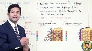 Lichens & Mycorrhizae | Symbiotic Associations in Fungi | MDCAT Biology | Prof. Abdul Rehman