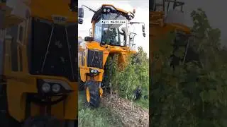 Field Demo Of Grapes 🍇 Harvester GL 6 || Made By Gregoire France || #shorts #harvesting
