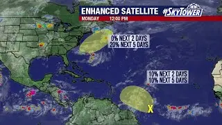 Tropical weather forecast: June 29, 2020