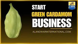 8MM GREEN CARDAMOM | CARDAMOM SUPPLIER | SPICE EXPORT IMPORT | CARDAMOM WHOLESALE MARKET IN INDIA