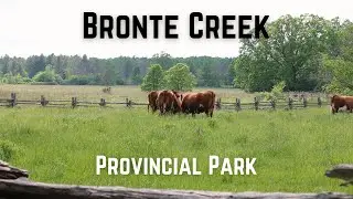 BRONTE CREEK Provincial Park | Throwback Video