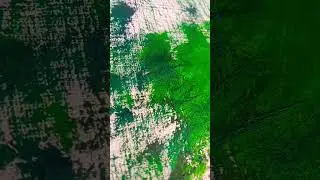 🟢#artwork #art #collect #collection #green #oil ##painting 🟢