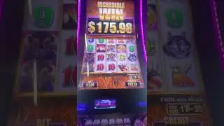 Buffalo Bonus, multiple retriggers 🎰🍒🍒