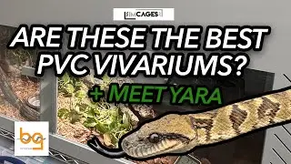 IMCages Vivarium Review | Premium PVC Reptile Enclosures from Poland