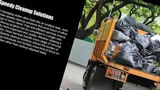 Clean Slate Hauling And Junk Removal Lacey - Quick Junk Removal near me Makes Everyday Life Easier