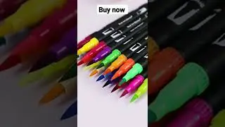 24-Color Dual-Tip Fine Permanent Marker and Watercolor Brush Pen Set for Painting,