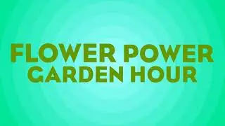 Flower Power Garden Hour 125:  Listener Q&A