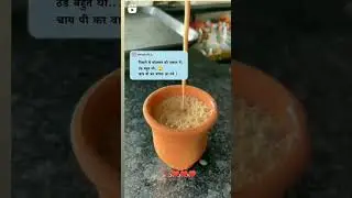 tea status || status song status ||#tea #tealover #mohabbat