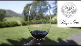 Tour of Stags' Leap Winery, Napa Valley