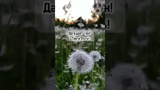 Защита! Слова на восстановление Энергии #shorts #reels #meditation #motivation  #relax #music