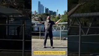 8 Tri Gram Heaven and Earth Reel
