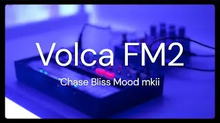 12 Minute Ambient Soundscape ~ Volca Fm2 and Chase Bliss Mood mkii
