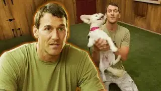 How to Calm an Overly Excited Dog | Lucky Dog