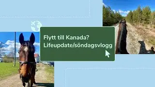 FLYTT TILL KANADA? // life-update & stallvlogg