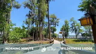 Get Lost in the Magic of Nature at Disney's Wilderness Lodge - Walt Disney World in 4K (HD)