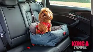 KONG Ultimate Safety Seat Installation