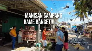 PASAR MANISAN SAMPANG RAME BANGET!!! #merpatirumahan #merpatibagus #merpatikolong #merpatiku