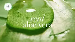 Herbal Essences Sulfate Free Range for 72Hr Deep Hydration