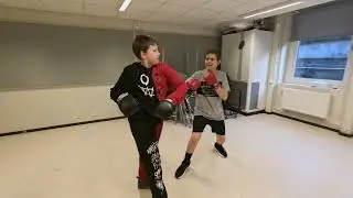 Boxningsmatchen