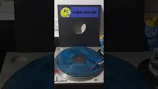 Rave 2 The Grave - Rave R12 - Insomniak
