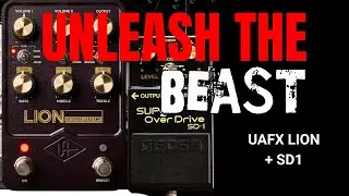 Unleashing the Beast: UAFX Lion '68 Super Lead Amp Pedal Meets Boss SD-1 Overdrive!