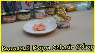 Котячий Корм Шезир (Schesir) Обзор. Блог Кота Альфа. Обзор Влажных Кормов для Кошек Schesir