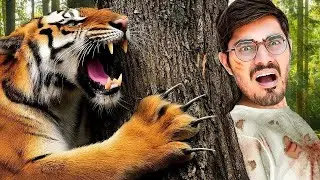 Meeting Real King of Jungle   आज तो असली शेर से सामना हो गया   Crazy Trip