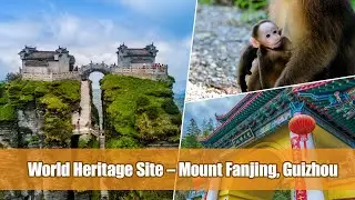 CHINA TODAY II EP09：World Heritage Site &ndash; Mount Fanjing, Guizhou
