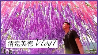 清遠英德包團遊Vlog上集(家鄉蔥油雞宴，靜山湖風景區，馬戲雜技Show，養生豬肚雞宴，格林東方酒店）｜William Leung 粵語 字幕