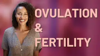 How Does Ovulation Timing Impact Conception at Age 40?