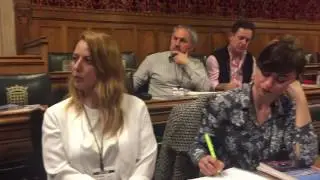 Westminster Debate &lsquo;Integration of Turks in London: Lessons for Brexit Britain&rsquo;