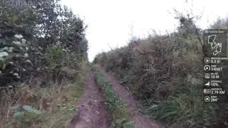 Trekronersporet ved Roskilde MTB xc singletrack.