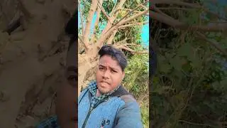 tumse milane Ko Dil #viral #short video #jhankar hits #love #song #trending #popular song