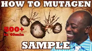 How To Mutagen Sample