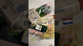 🇳🇱オランダワーホリの生活