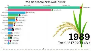 Top Rice Producing Countries 1960&ndash;2023 | Bar Chart Race