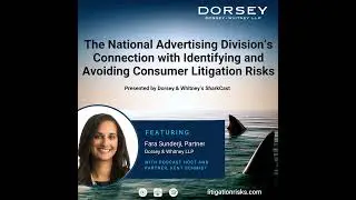 The National Advertising Division&rsquo;s Connection with Identifying and Avoiding Consumer Litigation ...