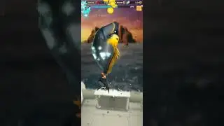 Ace fishing wild catch: SR Secret Spot fish Australia
