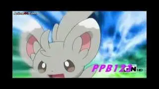 Pachirisu X Pikachu and Emolga X MInccino Amv
