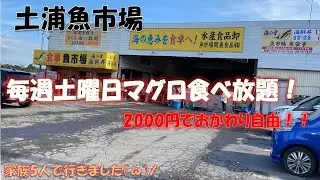 【コスパ最高】家族で土浦魚市場マグロ食べ放題に行きました！【食べ放題】
