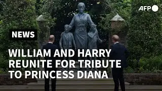 William and Harry reunite for Diana statue tribute | AFP