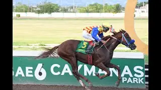 Countdown To The 2025 Jamaica St Leger: Reliving Classic Moments