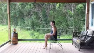 Seated Heel Raise Exercise for Seniors | Improve Balance & Strength!