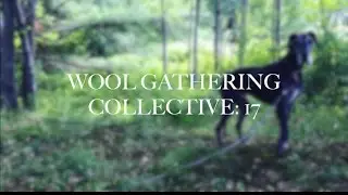 WGC Episode 17:  Not Sorry (available in Germany)